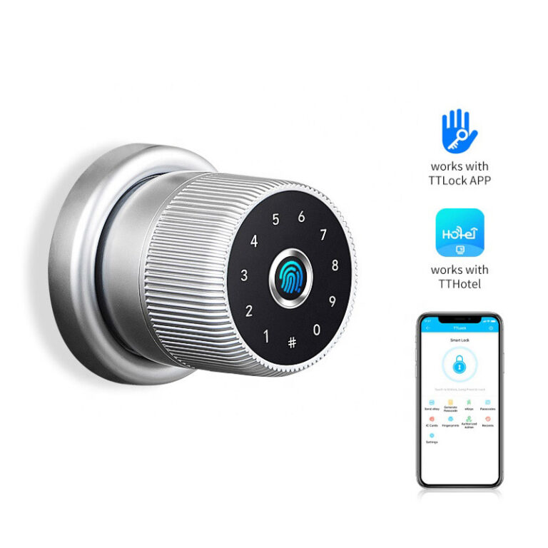 2021-Best-Price-Security-Digital-APP-Smart-Fingerprint-Door-knob-with-Google-home-and-Alex-1
