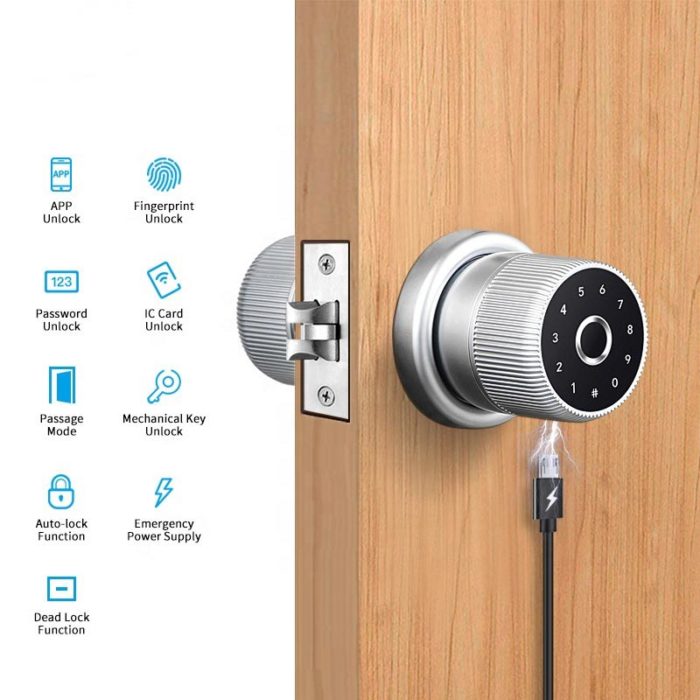 2021-Best-Price-Security-Digital-APP-Smart-Fingerprint-Door-knob-with-Google-home-and-Alex-1